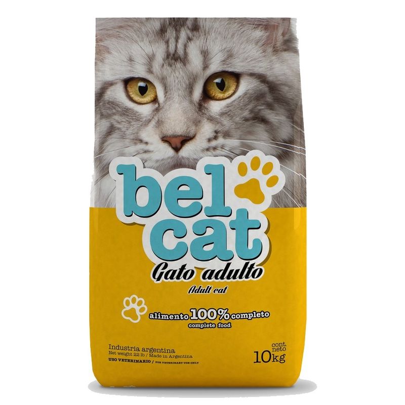 122001belcat