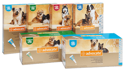 Advocate (1Pipeta)