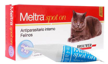 Aniparasitario Meltra Spot-On para Gatos