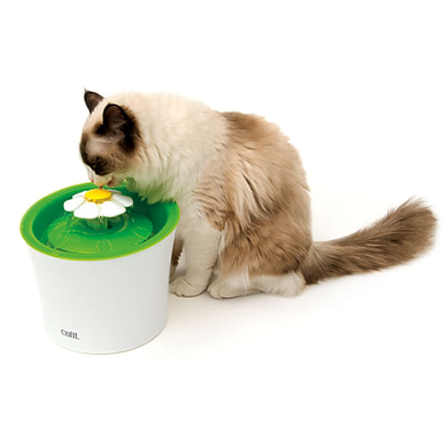 Bebedero Fuente Con Flor Catit Para Gatos