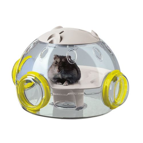 Capsula De Inspección De Hamsters Acoplable