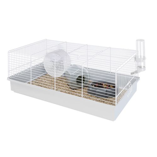Hamstera Criceti 11 Con Base Plastica Y Rejas