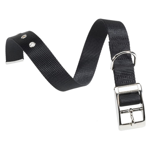 Collar Club Negro