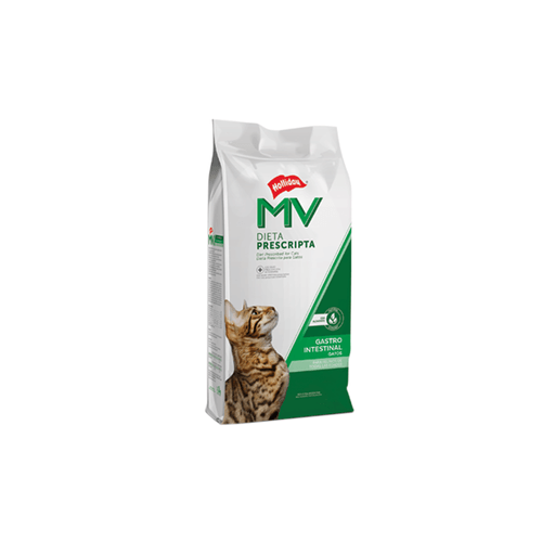 MV  Gato Gastrointestinal