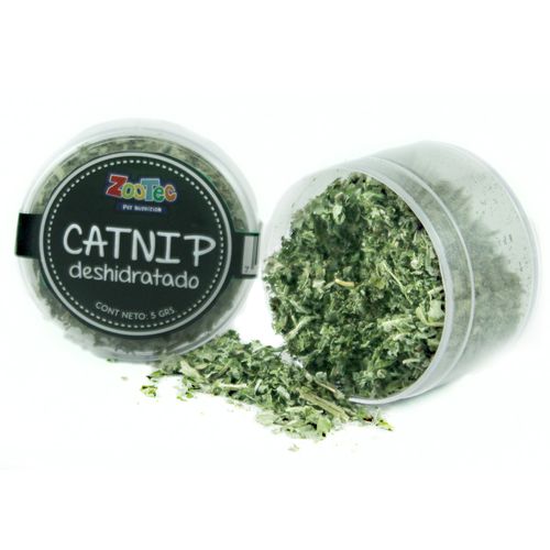 Catnip Deshidratado Zootec