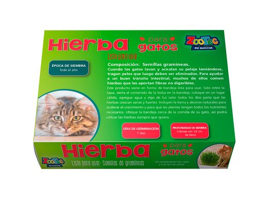 Semillas De Hierba Zootec