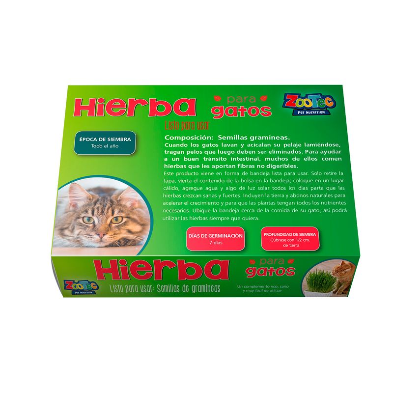Semillas-De-Hierba-Para-Gato
