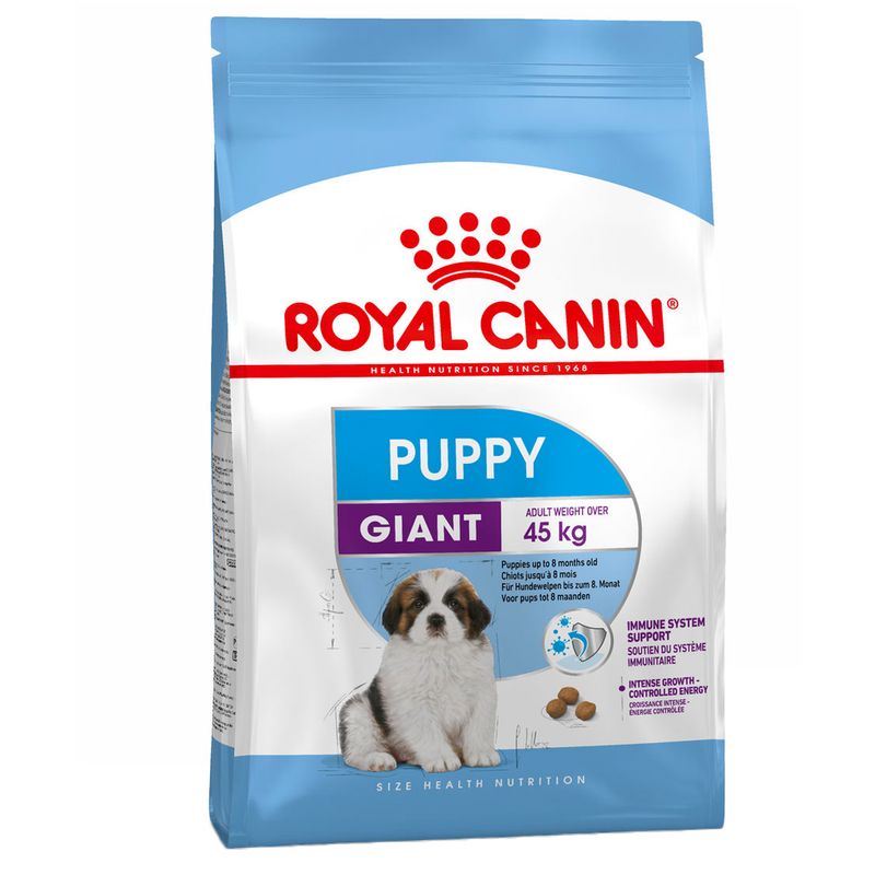 RC-Giant-Puppy
