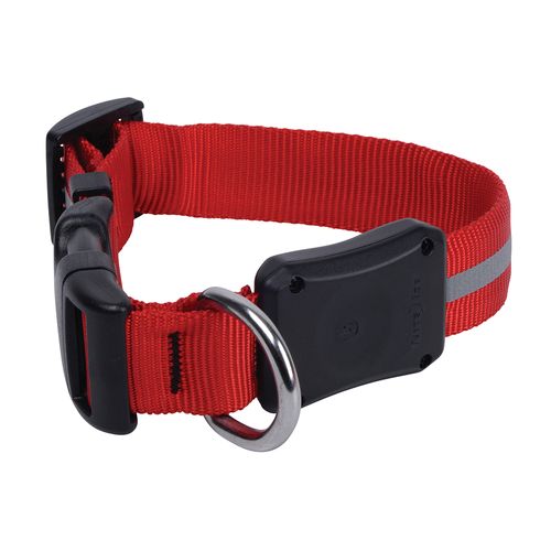 Collar Nite Ize NiteDawg Led Rojo