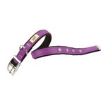 Collar-Ferplast-Dual-Violeta-27-35cm-x-15mm