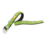 Collar-Ferpalst-Dual-Verde-37-45cm-x-25mm