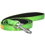 Correa-Ferplast-Dual-G-Verde-110cm-x-15mm