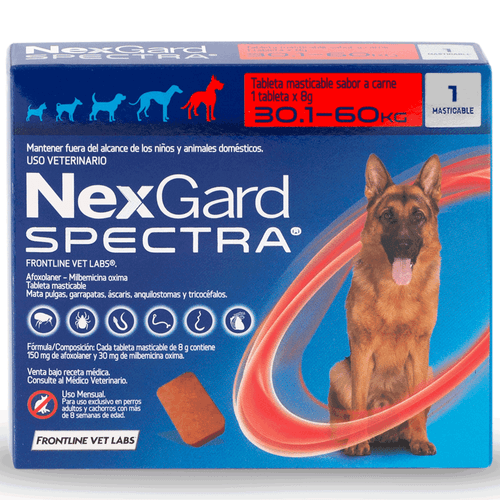Nexgard Spectra Para Perros