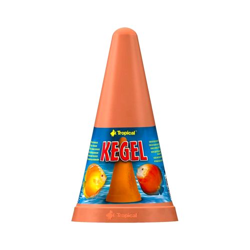 Cono Kegel Tropical Para Desove
