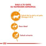 Pouch-Para-Gato-Royal-Canin-Intense-Beauty-En-Salsa-85Gr