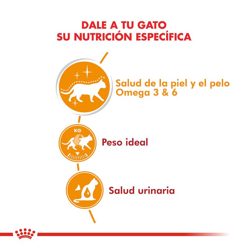 Pouch-Para-Gato-Royal-Canin-Intense-Beauty-En-Salsa-85Gr
