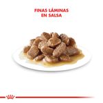 Pouch-Para-Gato-Royal-Canin-Intense-Beauty-En-Salsa-85Gr