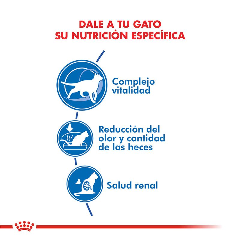 Royal-Canin-Alimento-Seco-para-Gato-Indoor-7--400-Gr