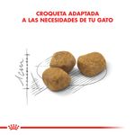 Royal-Canin-Alimento-Seco-para-Gato-Indoor-7--400-Gr