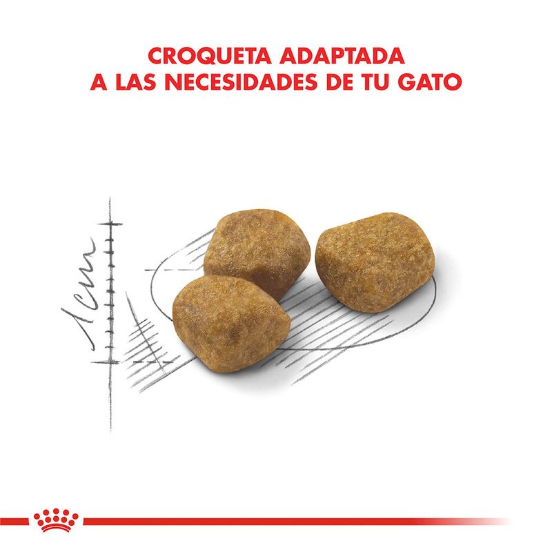 Royal-Canin-Alimento-Seco-para-Gato-Indoor-7--400-Gr