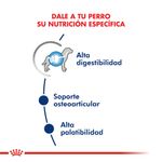 Royal-Canin-Alimento-Seco-para-Perro-Maxi-Adulto-3-Kg