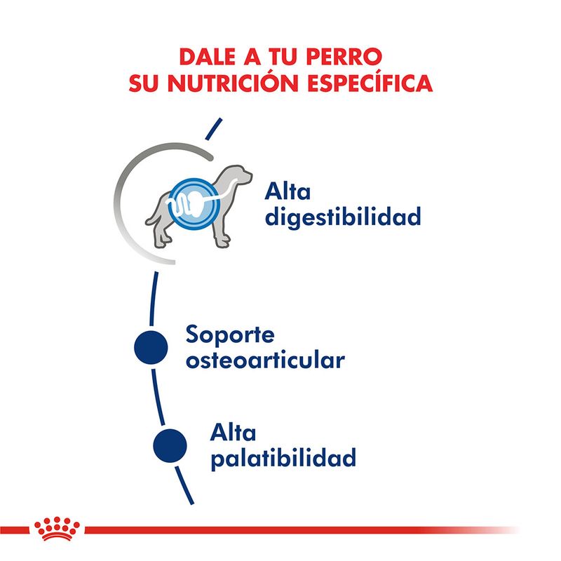Royal-Canin-Alimento-Seco-para-Perro-Maxi-Adulto-3-Kg