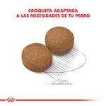 Royal-Canin-Alimento-Seco-para-Perro-Maxi-Adulto-3-Kg