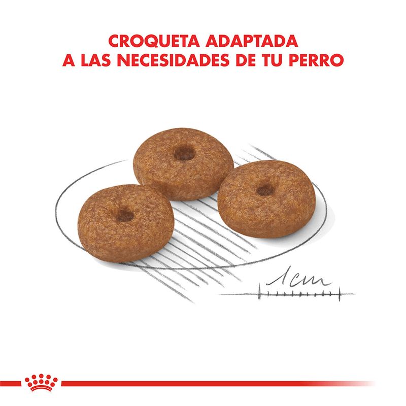 Alimento-Royal-Canin-para-Perro-Mini-Ageing-12--3-Kg