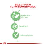 Pouch-Royal-Canin-Digest-Sensitive-85-Gr