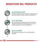 Lata-Royal-Canin-Diabetic-Special-Dog-195-Gr