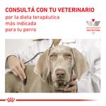 Lata-Royal-Canin-Diabetic-Special-Dog-195-Gr