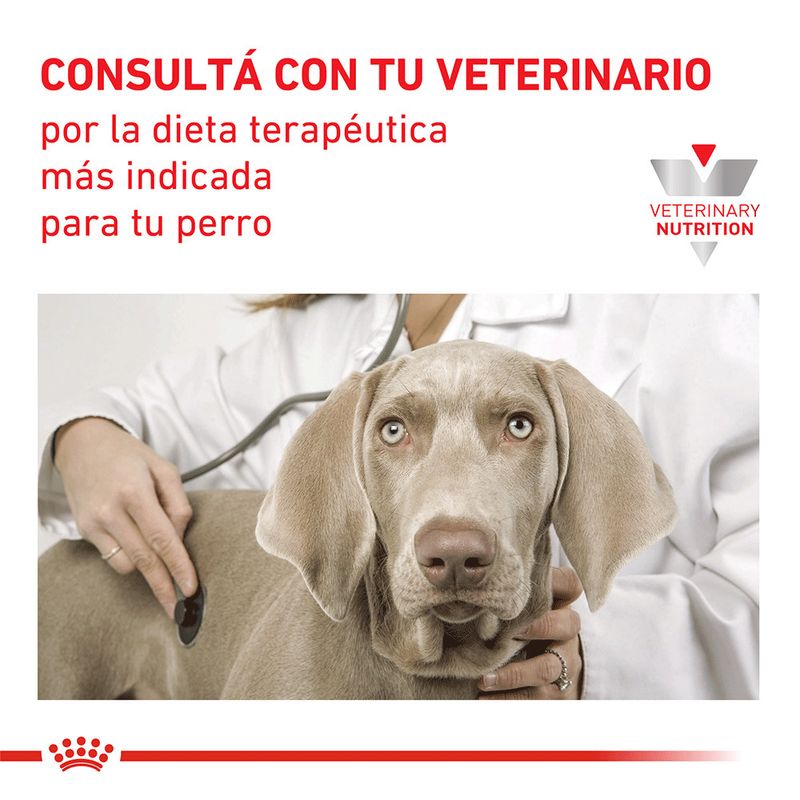 Lata-Royal-Canin-Diabetic-Special-Dog-195-Gr