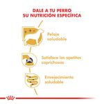 Pouch-Royal-Canin-Yorkshire-85-Gr