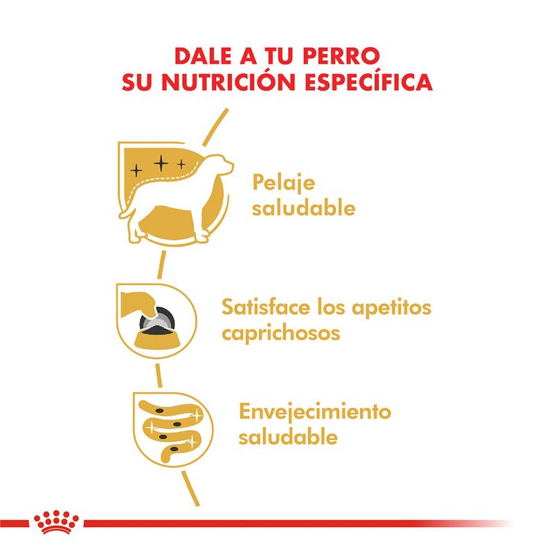 Pouch-Royal-Canin-Yorkshire-85-Gr