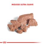 Pouch-Royal-Canin-Yorkshire-85-Gr