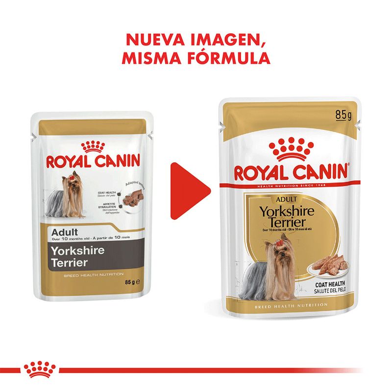 Pouch-Royal-Canin-Yorkshire-85-Gr