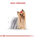Pouch-Royal-Canin-Yorkshire-85-Gr