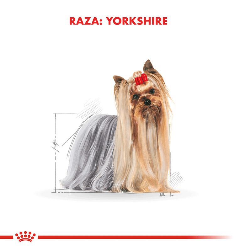 Pouch-Royal-Canin-Yorkshire-85-Gr