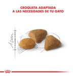 Alimento-Royal-Canin-Cat-Exigent-35-para-Gato-15-Kg