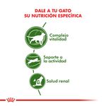 Alimento-Royal-Canin-Active-7--para-Gato-15-Kg