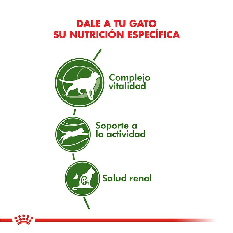 Alimento-Royal-Canin-Active-7--para-Gato-15-Kg