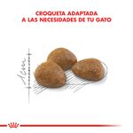 Alimento-Royal-Canin-Active-7--para-Gato-15-Kg