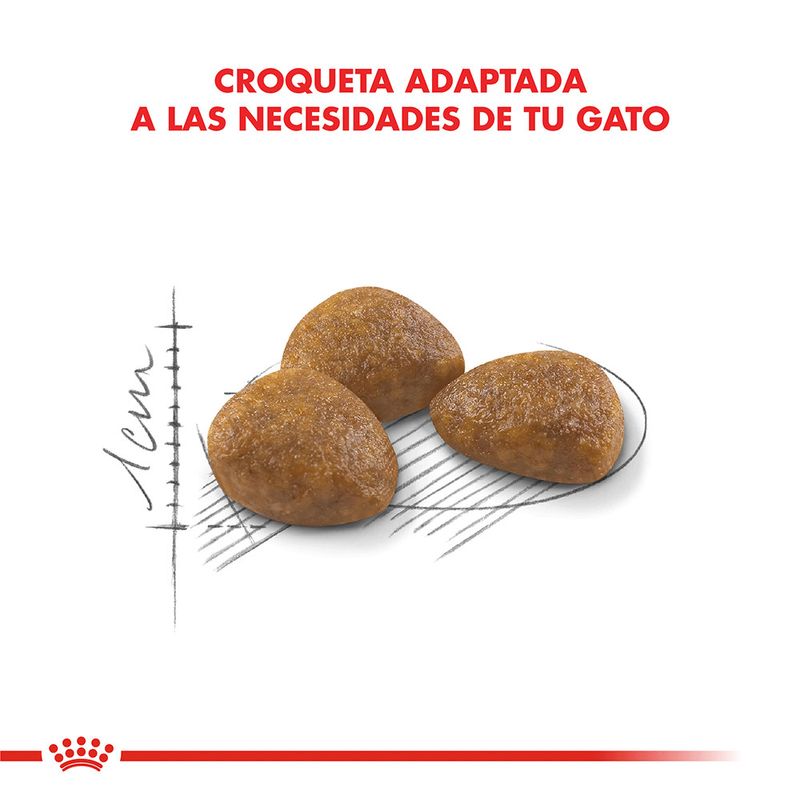 Alimento-Royal-Canin-Active-7--para-Gato-15-Kg