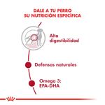 Pouch-Royal-Canin-para-Perro-Adulto-Mediano-140-Gr