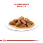 Pouch-Royal-Canin-para-Perro-Adulto-Mediano-140-Gr