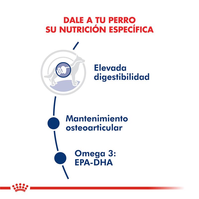 Pouch-Royal-Canin-Maxi-Adulto-140-Gr