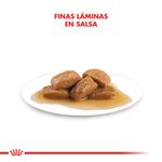 Pouch-Royal-Canin-Maxi-Adulto-140-Gr