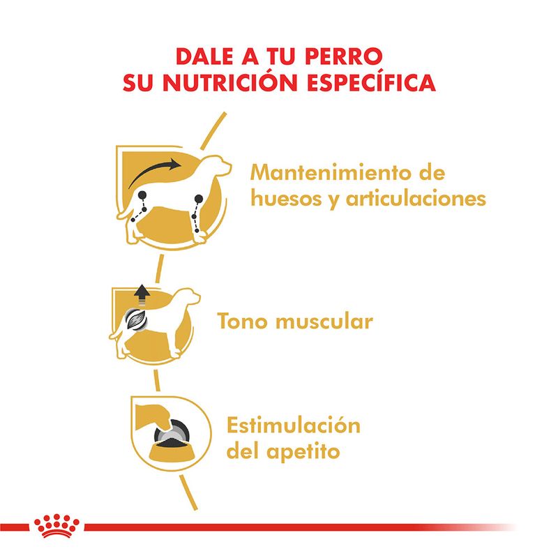 Pouch-Royal-Canin-para-Dachshund-Adulto-85-Gr