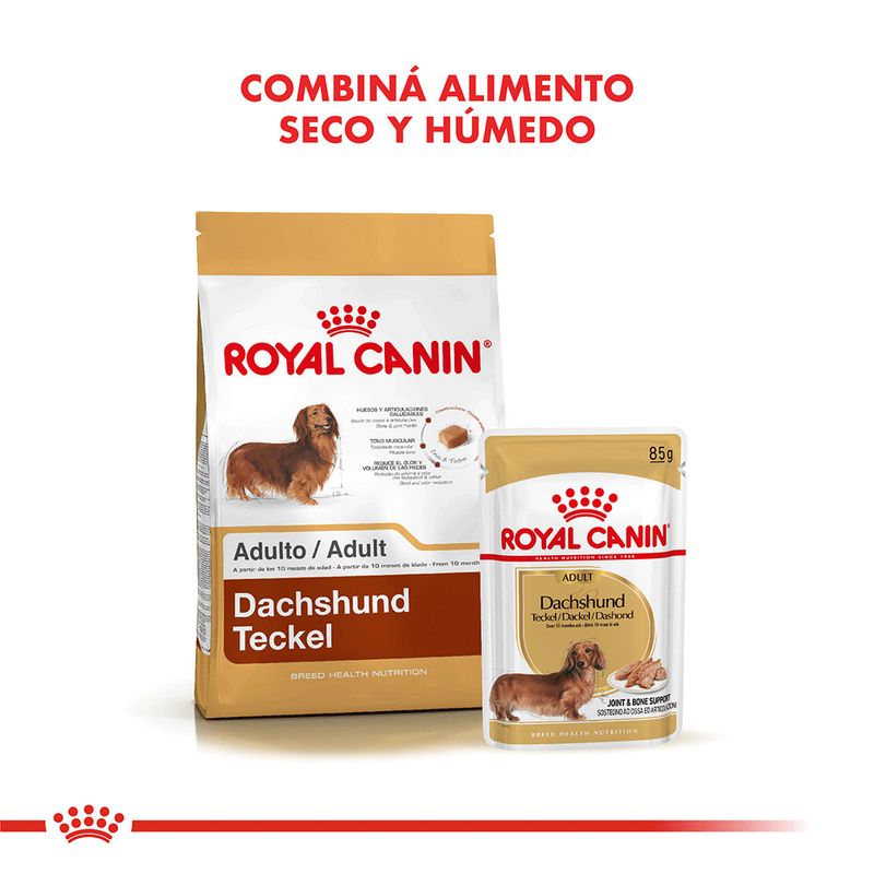 Pouch-Royal-Canin-para-Dachshund-Adulto-85-Gr
