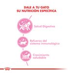 Alimento-Royal-Canin-CatVet-Kitten-36-15-Kg